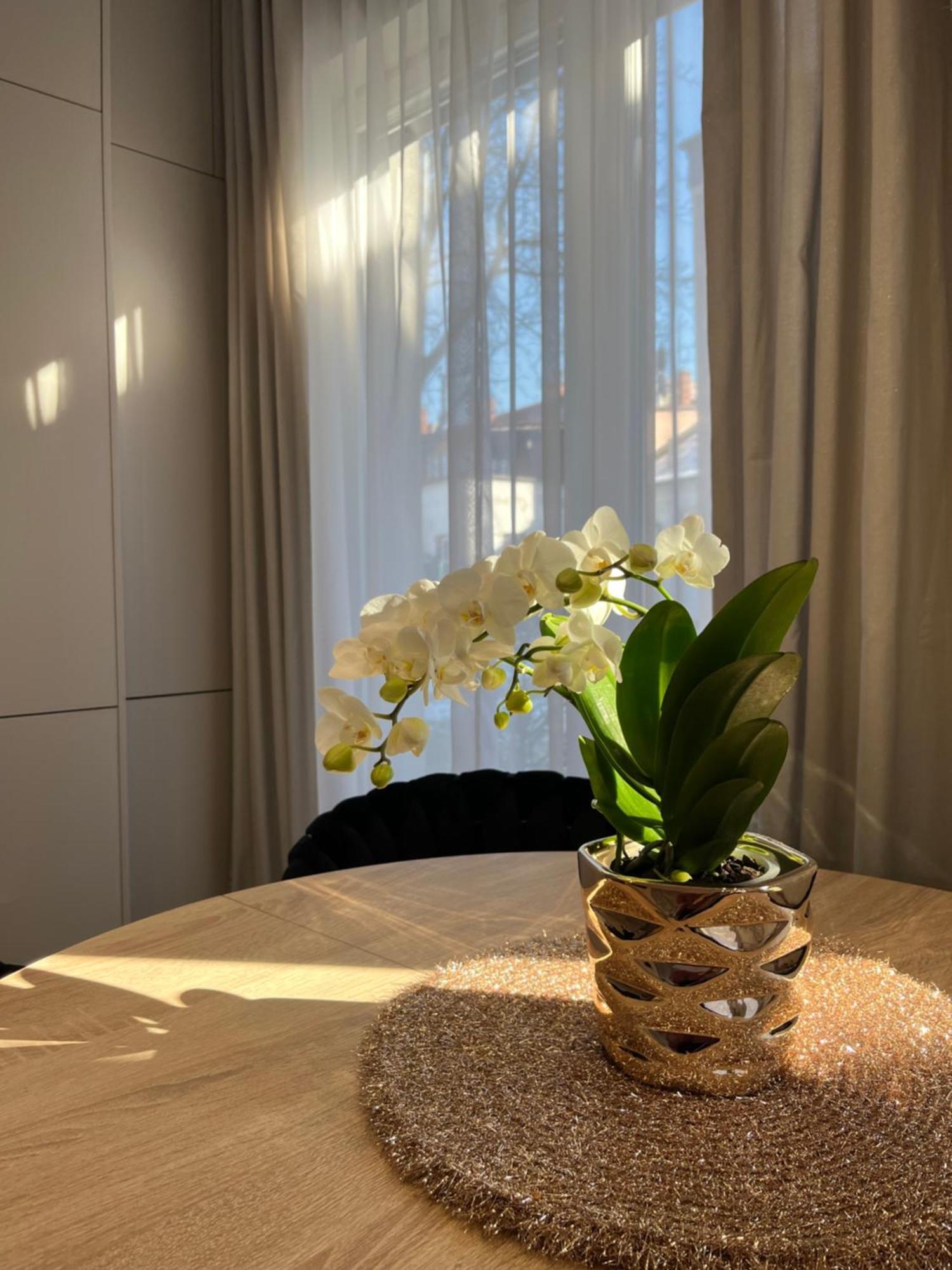 Apartament Kaszmirowy บีเอสโก-เบียวา ภายนอก รูปภาพ